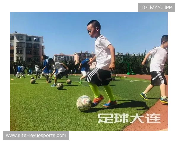 陆丰足球球星介绍与发展历程探析助力地方足球崛起的先锋人物